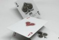 /album/fotogalerie-luxx-palme/luxxpalme-rickdavidson-playingcards-600x410-jpg/