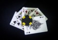 /album/fotogalerie-luxx-shadow-edition/originalluxx-shadowedition-playingcards-600x410-jpg/